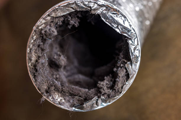 Best Commercial Air Duct Cleaning  in Mountain City, TN